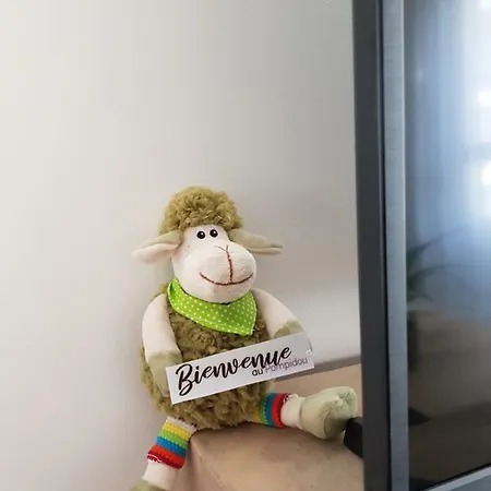 Le Pompidou T2 Pour 2 A 4 Pers Avec Parking Prive & Balcon Place Ney アパート *