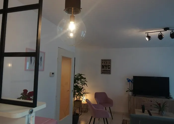 Appartement Le Pompidou T2 Pour 2 à 4 Pers Avec Parking Privé&balcon Place Ney Angers