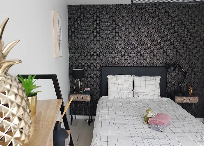 Le Pompidou T2 Pour 2 à 4 Pers Avec Parking Privé&balcon Place Ney * Angers