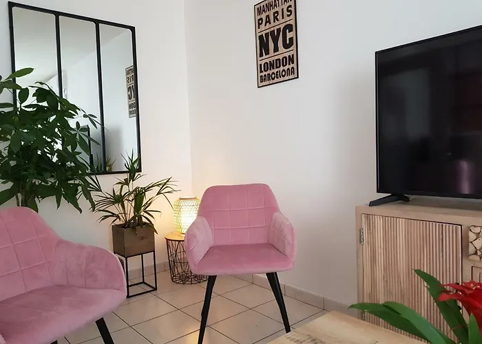 Le Pompidou T2 Pour 2 à 4 Pers Avec Parking Privé&balcon Place Ney